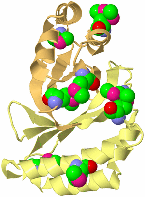 Image Biological Unit 3