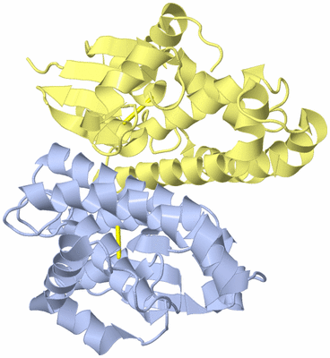 Image Biological Unit 1