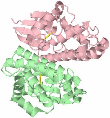 Image Biological Unit 2