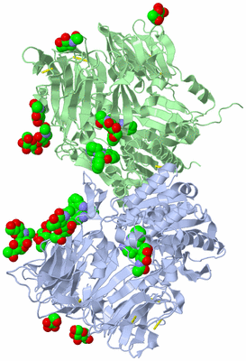 Image Biological Unit 1