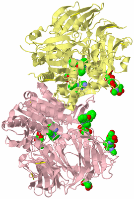 Image Biological Unit 2