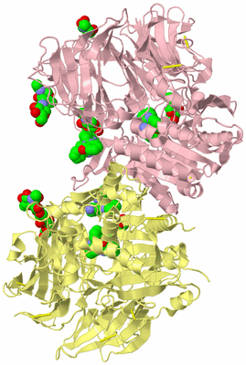 Image Biological Unit 3