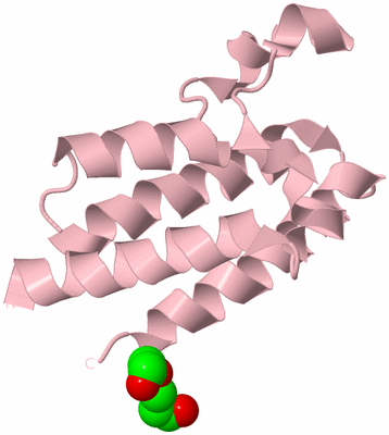 Image Biological Unit 3