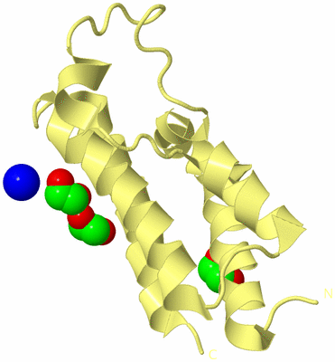 Image Biological Unit 4