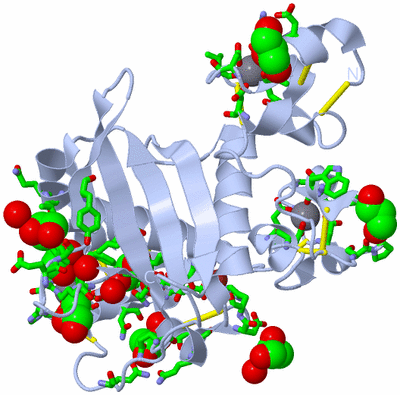 Image Biol. Unit 1 - sites