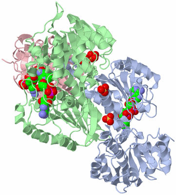 Image Asym./Biol. Unit