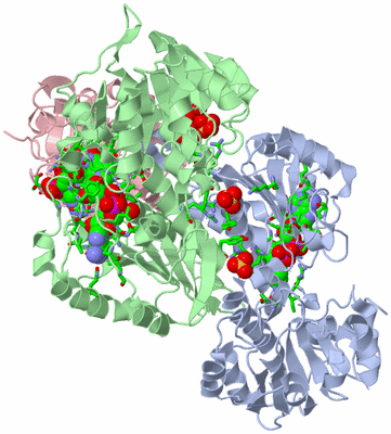 Image Asym./Biol. Unit - sites