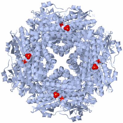 Image Biological Unit 1