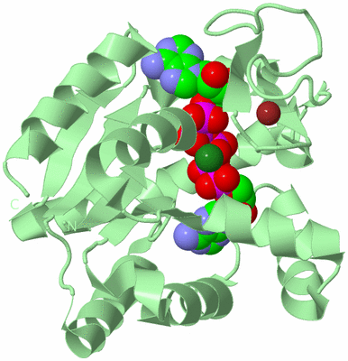 Image Biological Unit 2