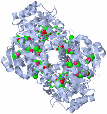 Image Biol. Unit 1 - sites