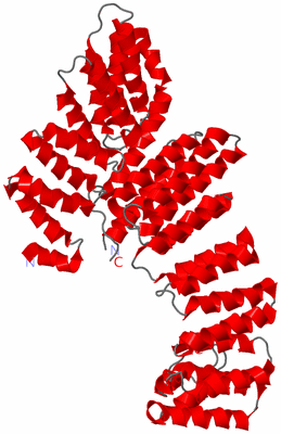 Image Asymmetric Unit