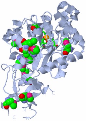 Image Biol. Unit 1 - sites