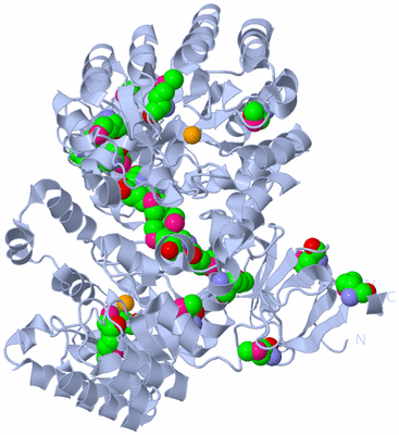 Image Biological Unit 2