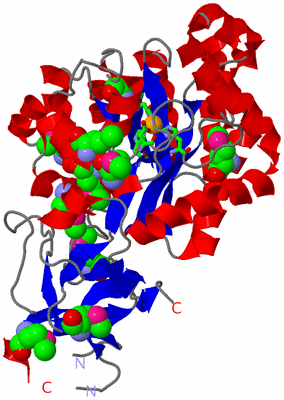 Image Asym. Unit - sites