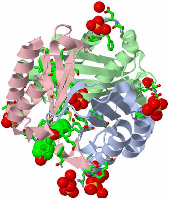 Image Asym./Biol. Unit - sites