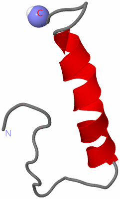 Image NMR Structure - model 1