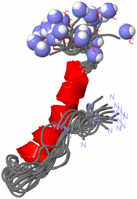 Image NMR Structure - all models