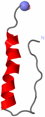 Image NMR Structure - model 1