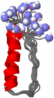 Image NMR Structure - all models