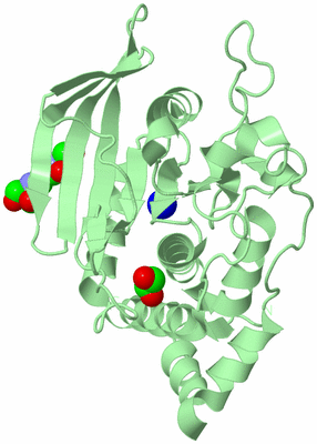 Image Biological Unit 2