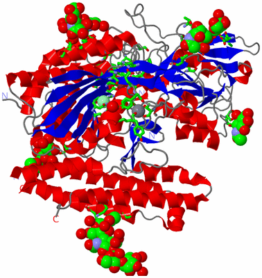 Image Asym. Unit - sites