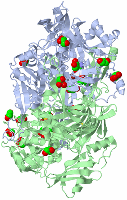 Image Biological Unit 1