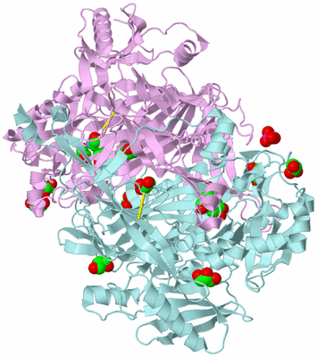 Image Biological Unit 3