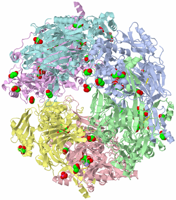 Image Biological Unit 4