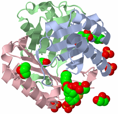 Image Asym./Biol. Unit