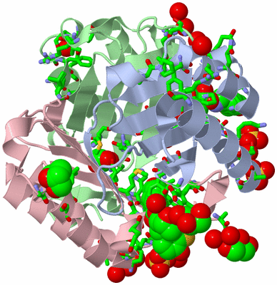 Image Asym./Biol. Unit - sites