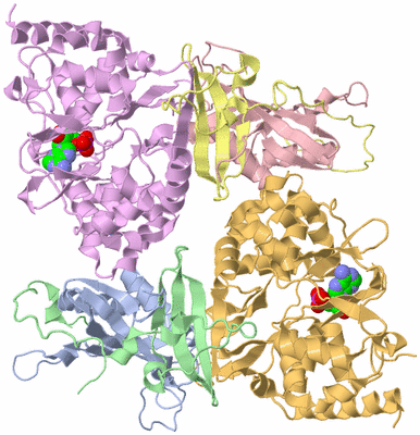 Image Biological Unit 1