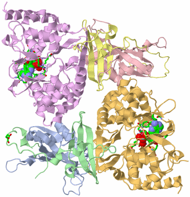 Image Biol. Unit 1 - sites