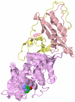 Image Biological Unit 2