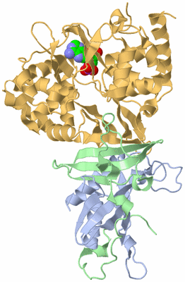 Image Biological Unit 3