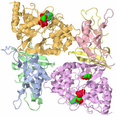 Image Asym./Biol. Unit