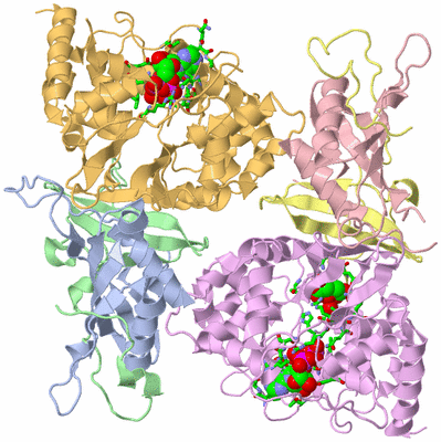 Image Asym./Biol. Unit - sites