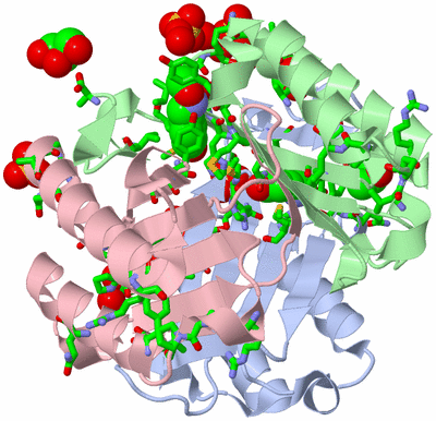 Image Asym./Biol. Unit - sites