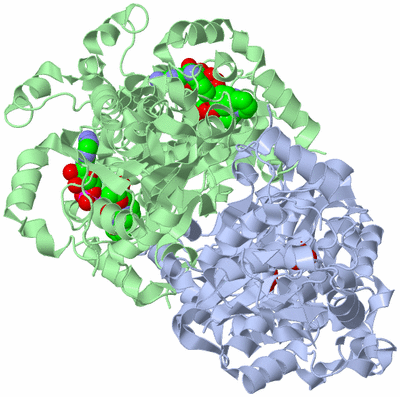 Image Biological Unit 1