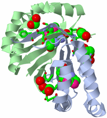 Image Biol. Unit 1 - sites