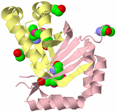 Image Biological Unit 2