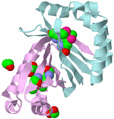 Image Biological Unit 3