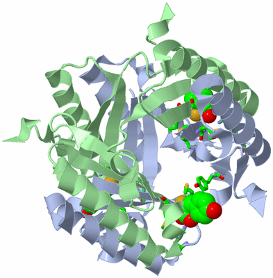 Image Biol. Unit 1 - sites