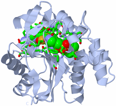 Image Biol. Unit 1 - sites