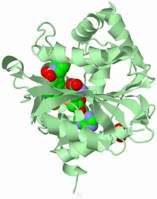 Image Biological Unit 2