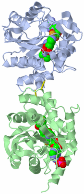 Image Biological Unit 3