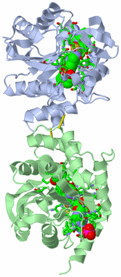 Image Asym. Unit - sites