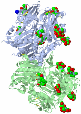 Image Asym./Biol. Unit