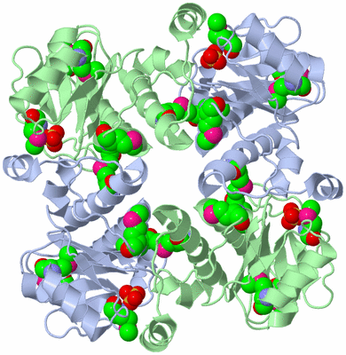 Image Biological Unit 2