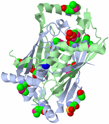 Image Asym./Biol. Unit