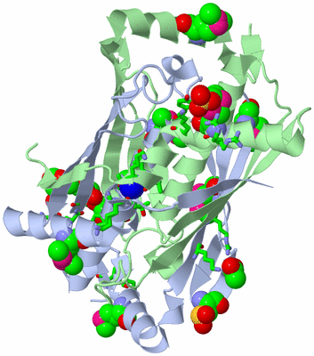 Image Asym./Biol. Unit - sites